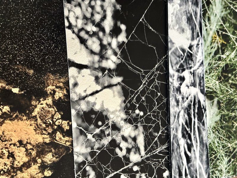 A selection of Organic Abstraction postcards