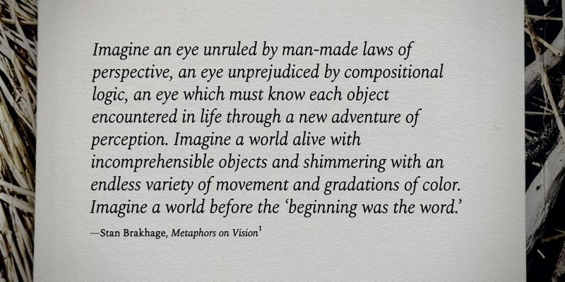 Quote by Stan Brakhage