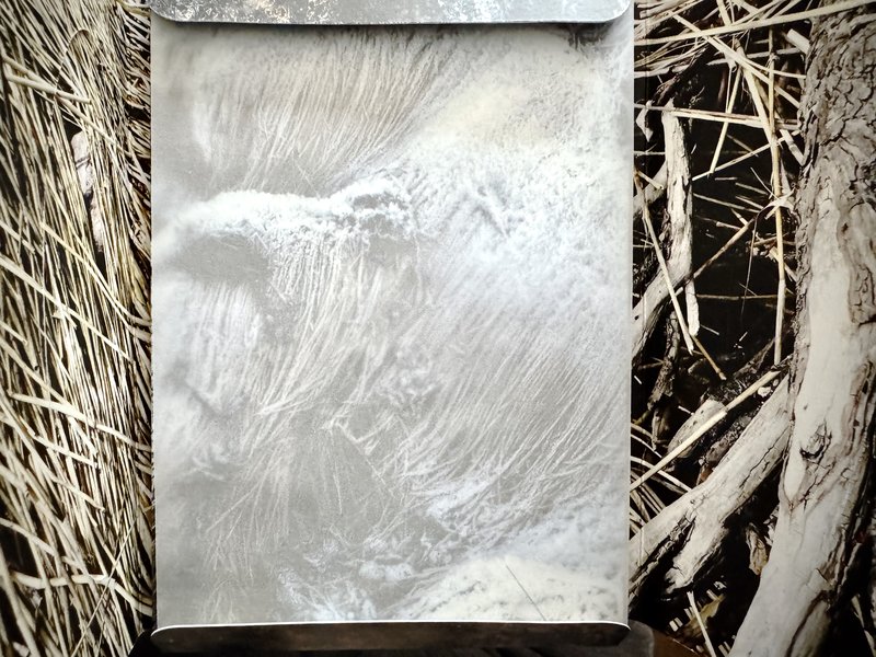 Translucent sheet inside the cover of the Organic Abstraction fascicle